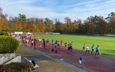 Halbmarathon der LG Mörfelden- Walldorf bei besten Bedingungen im Waldstadion und Treburer Unterwald (von Sandra Stark)